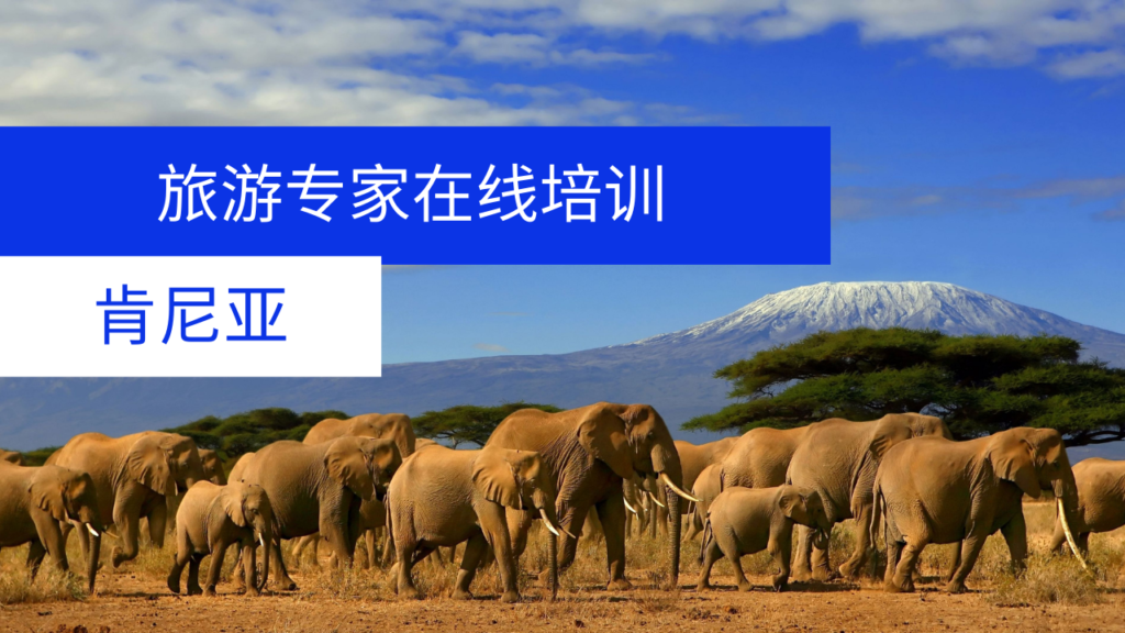 肯尼亚旅游专家云课堂